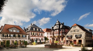 Alemania invita a deleitarse con la región vitícola de Hessische Bergstrasse
